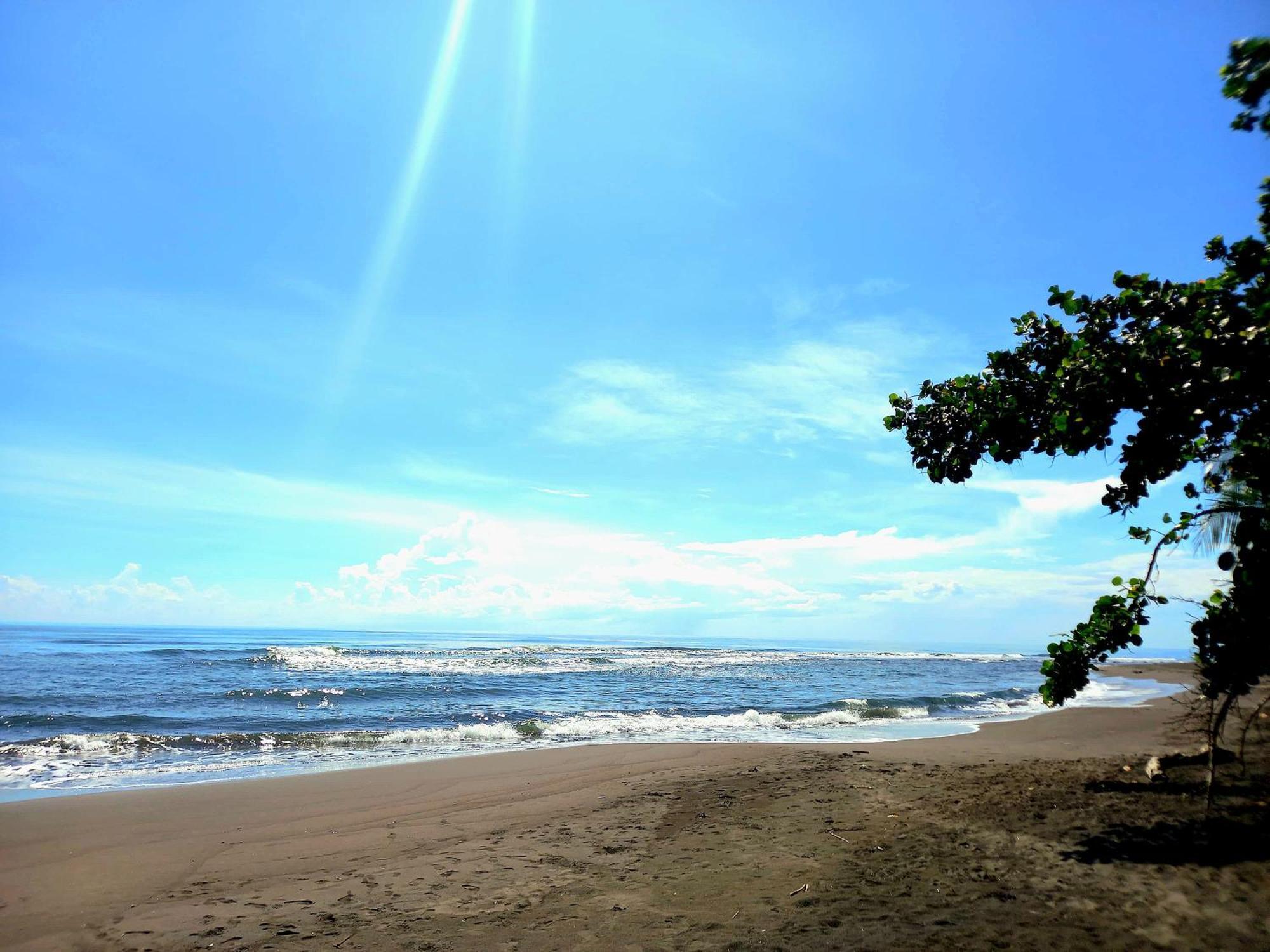 Tortuguero Adventures Beach House Exteriör bild