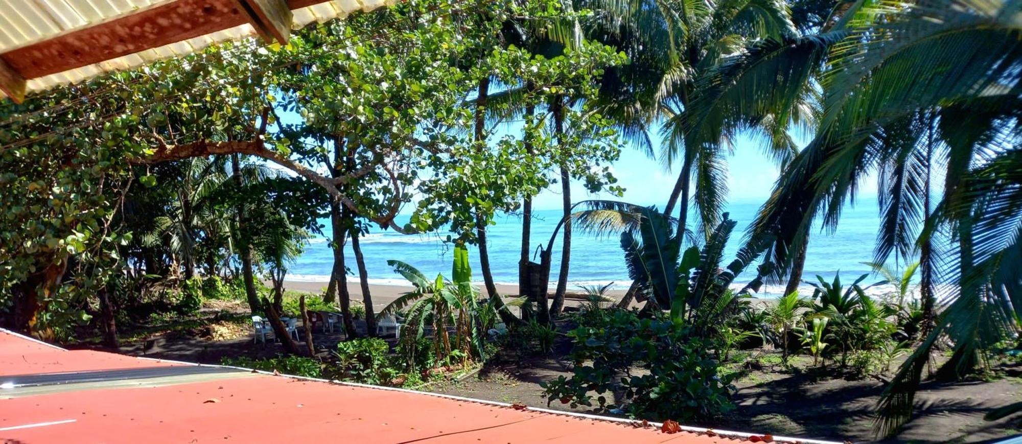 Tortuguero Adventures Beach House Exteriör bild