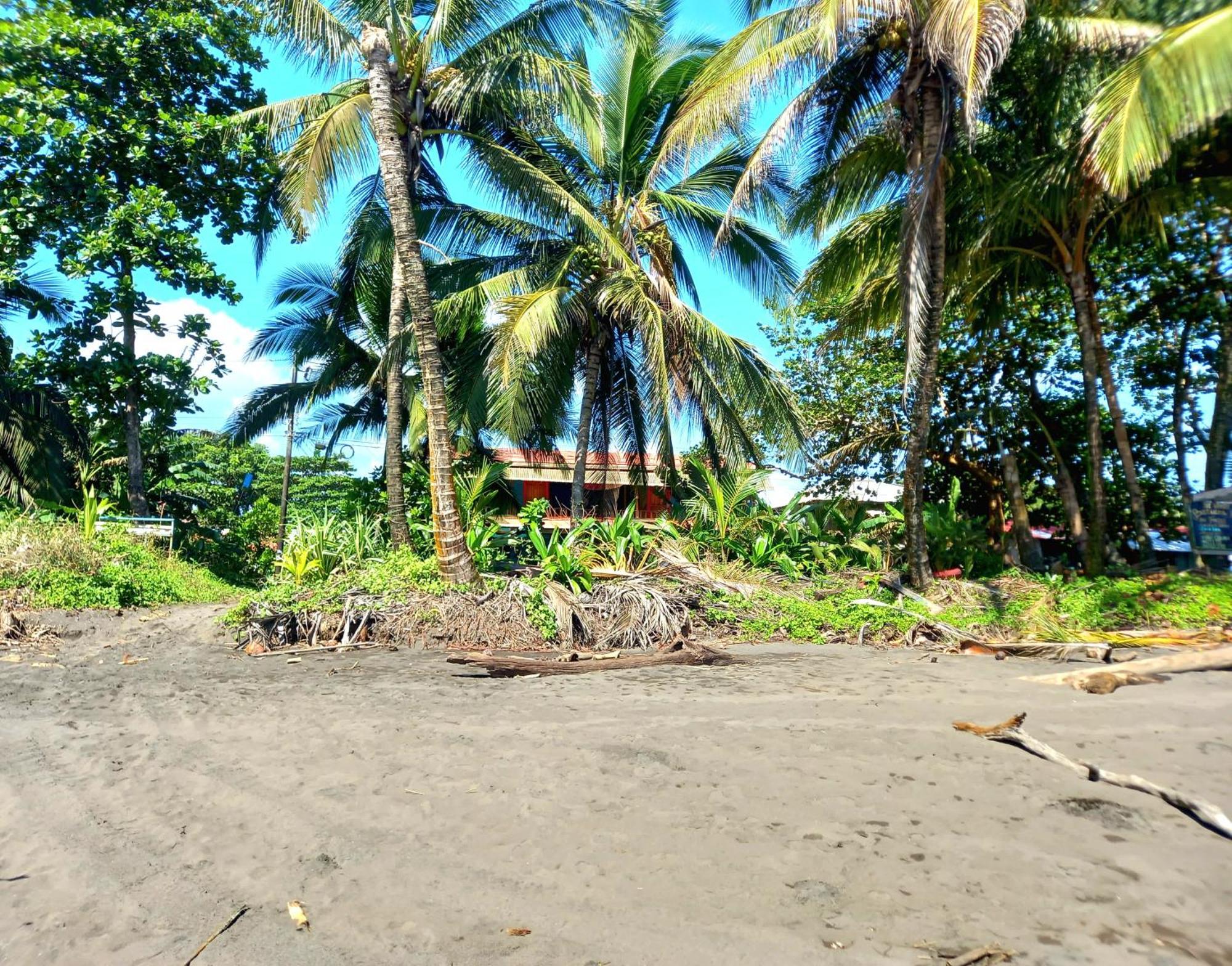 Tortuguero Adventures Beach House Exteriör bild