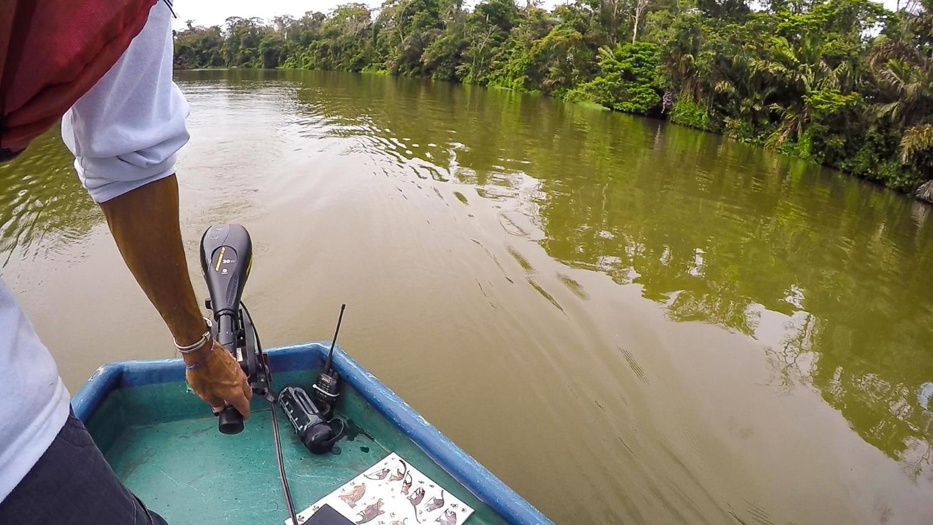 Tortuguero Adventures Beach House Exteriör bild