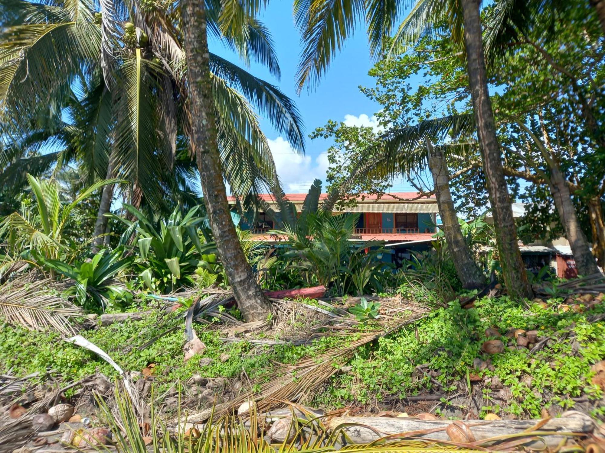 Tortuguero Adventures Beach House Exteriör bild