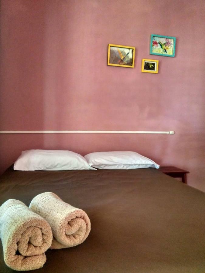 Tortuguero Adventures Beach House Exteriör bild