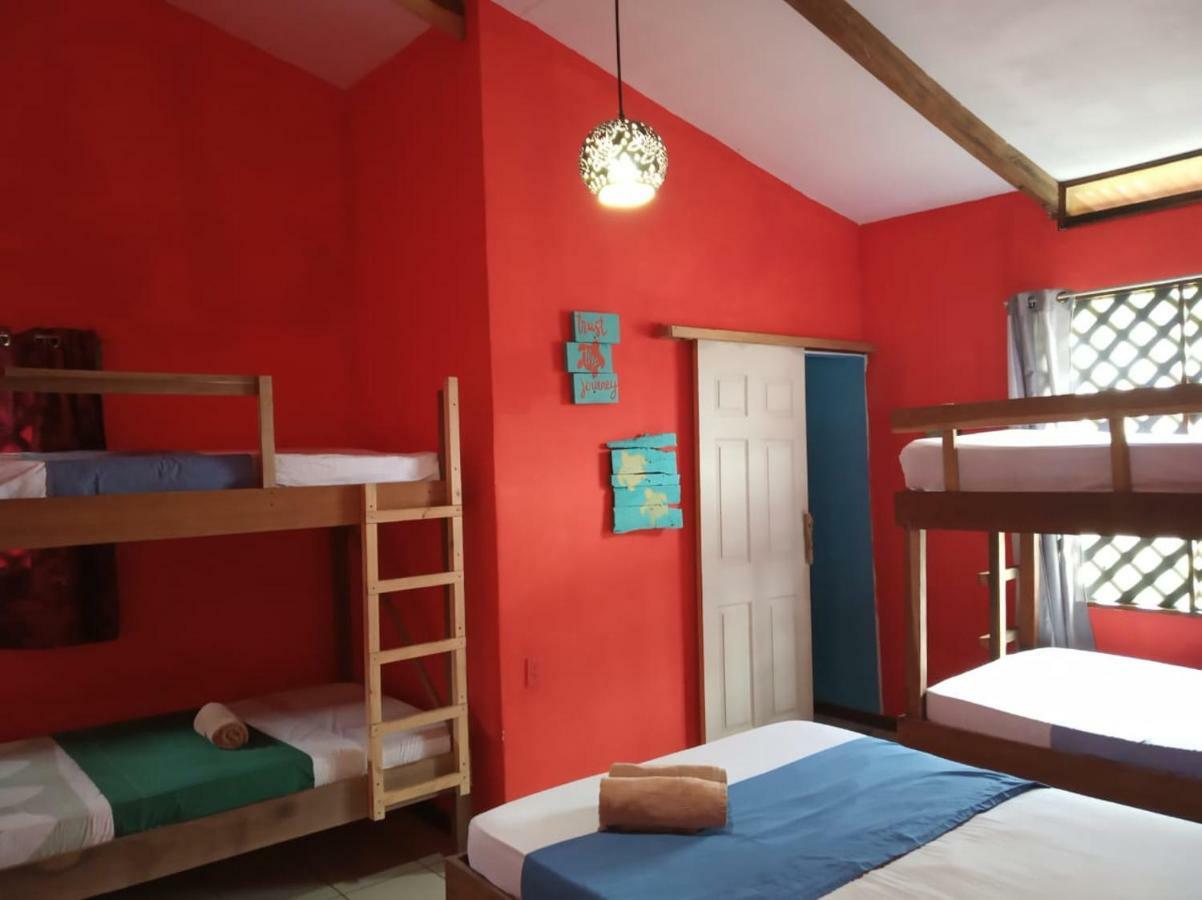Tortuguero Adventures Beach House Exteriör bild