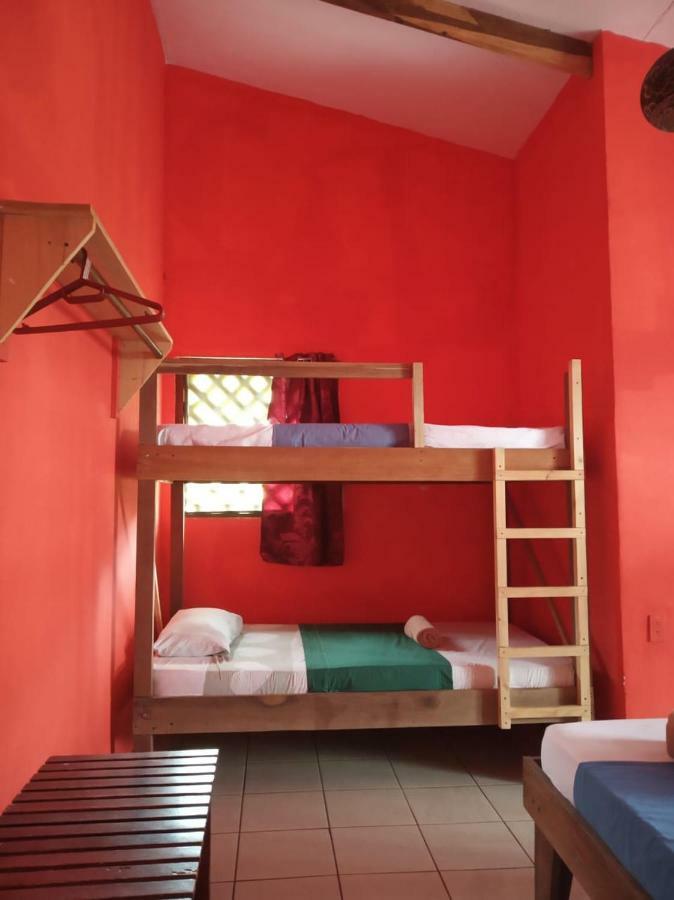 Tortuguero Adventures Beach House Exteriör bild
