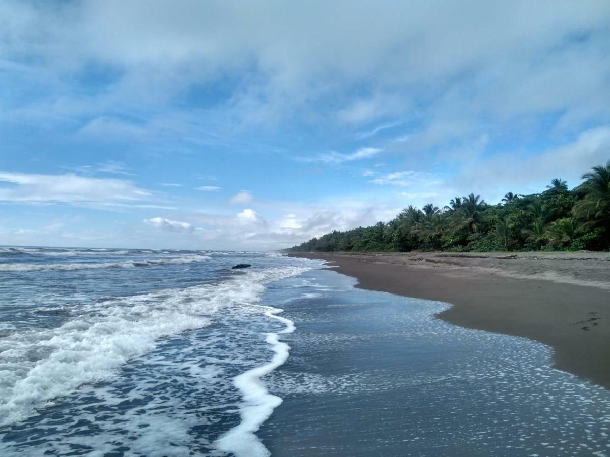Tortuguero Adventures Beach House Exteriör bild