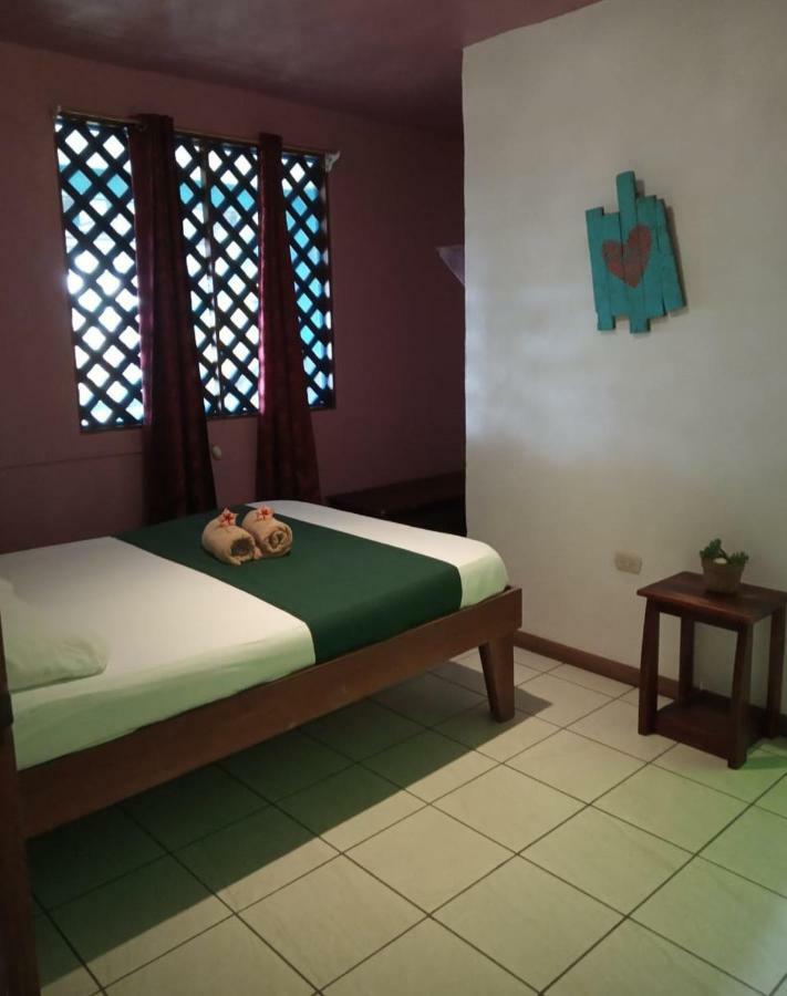 Tortuguero Adventures Beach House Exteriör bild